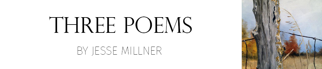 Collected Poems by Jesse Millner