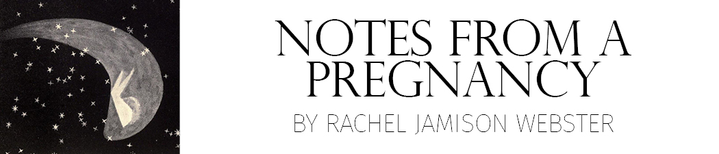 Notes from a Pregnancy