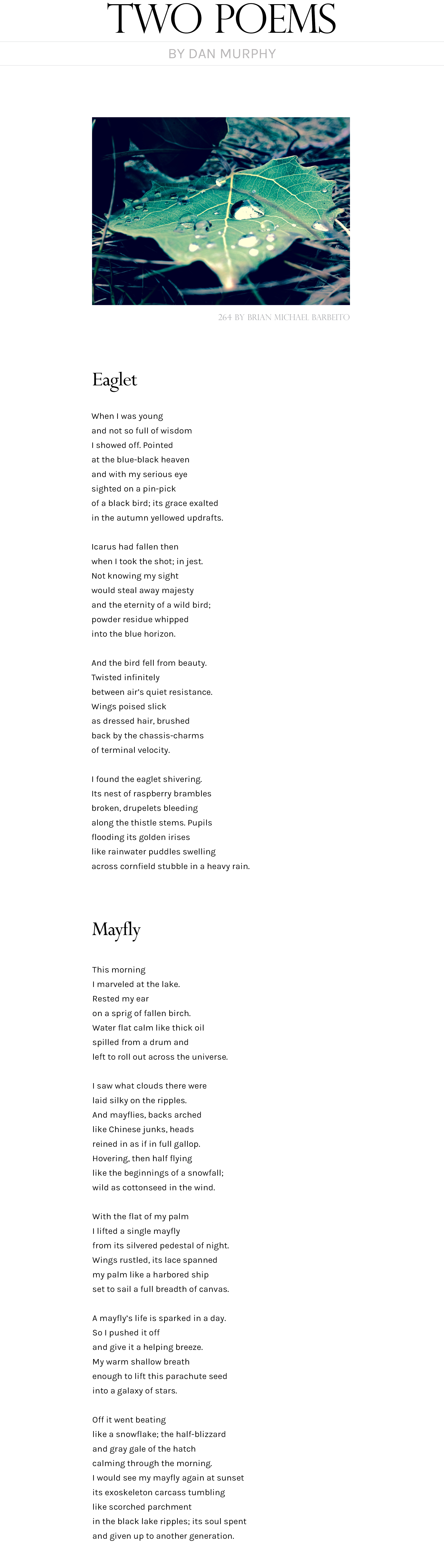 Two Poems by Dan Murphy